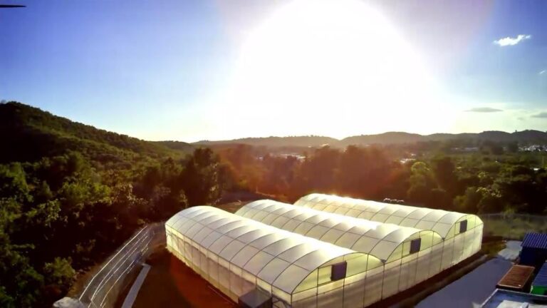 D.soto Farms