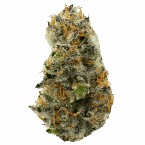 Wedding-Cake-Strain